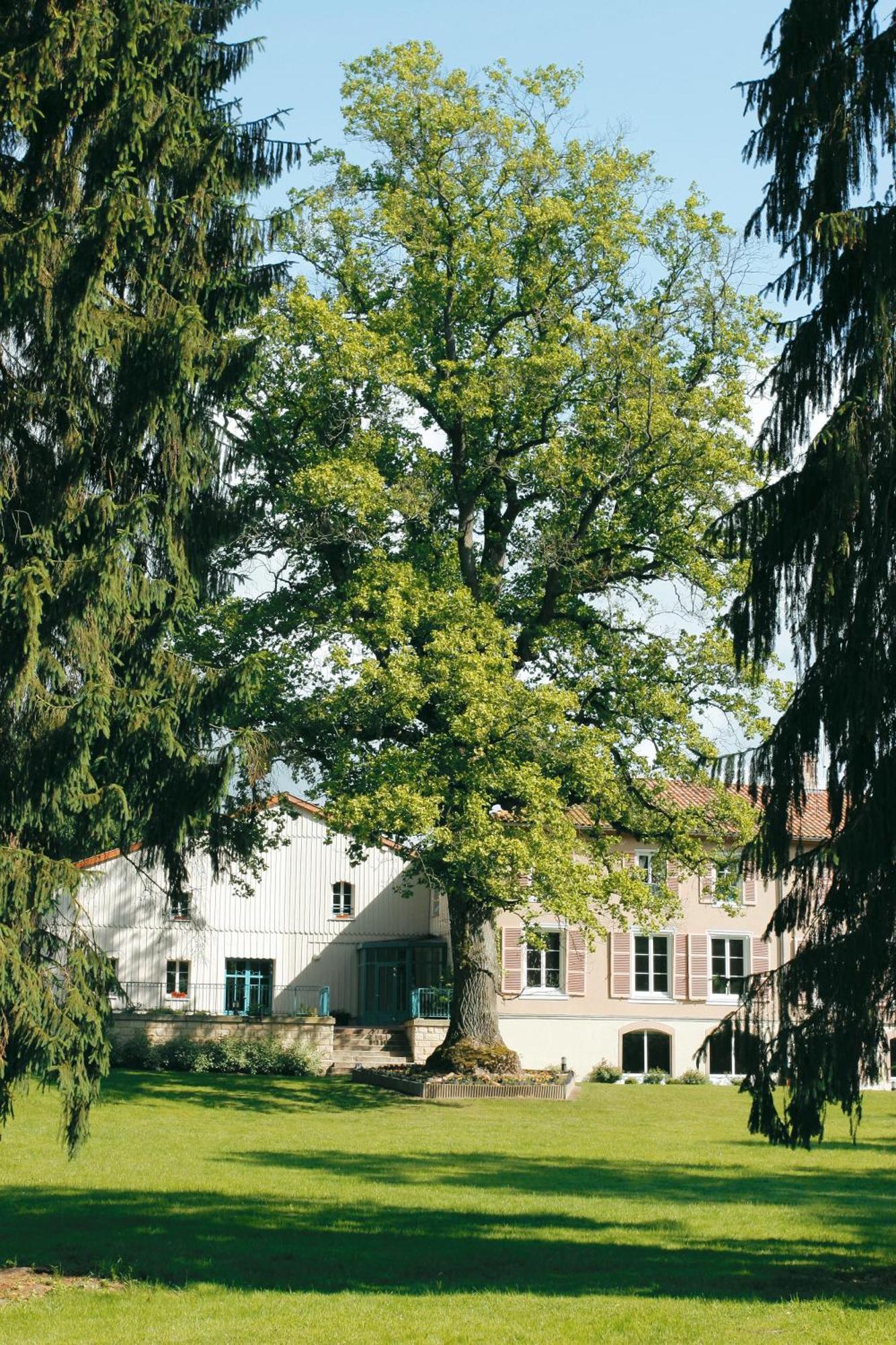 Logis Hotel - Restaurant Le Tulipier Vienne-le-Chateau Ruang foto