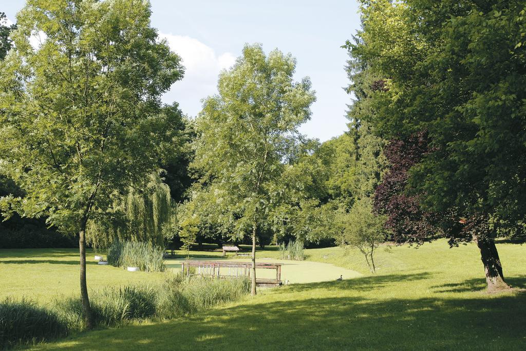 Logis Hotel - Restaurant Le Tulipier Vienne-le-Chateau Ruang foto